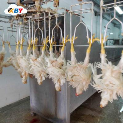 China POULTRY Used In Frozen Chicken Processing Plant Gutted Cooling Machine Price In Advance for sale