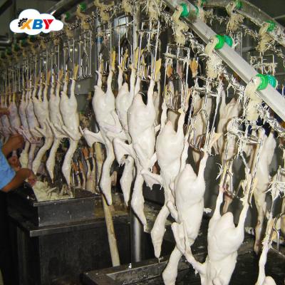 China POULTRY Hot Sale Poultry Slaughtering Processing Plucker Machine Plant for sale