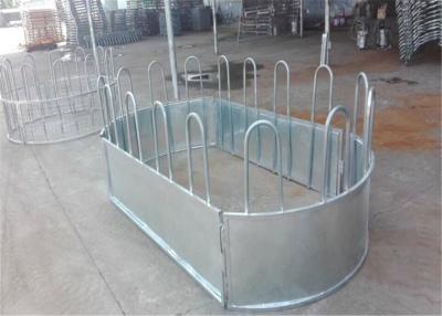 China Australia standard galvanized cattle panel fence Cattle Crush,Cattle Chute for sale