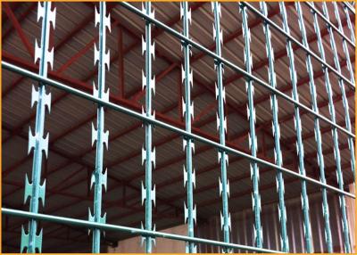 China razor wire mesh fence Te koop