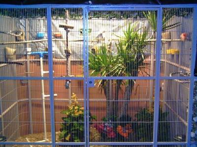 Cina zoo aviary mesh weld mesh and flexible rope mesh in vendita