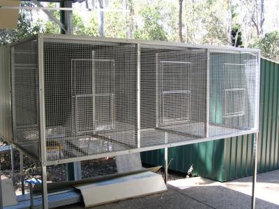 Κίνα aviary mesh for Medium Pet Birds προς πώληση