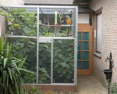 China aviary mesh for Medium Pet Birds Te koop