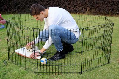 China Pet Playpen Dog Fence Pet Kennel Play Pen for sale