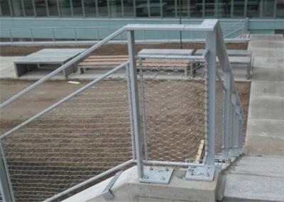 China stainless steel wire mesh netting en venta