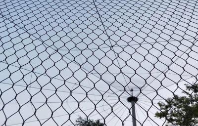 China SS304 316 Cable Mesh Net/Wire Rope Fence for Tensile Project X tend mesh for sale