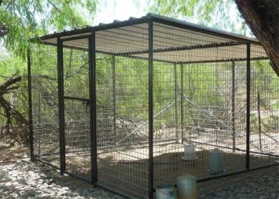 China Bird Aviaries 25mm*50mm diameter 3.00mm en venta