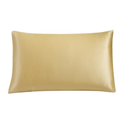 China Anti-bacteria factory outlet 19mm high quality luxury satin Mullberry 100% silk pillowcase with zipper for sale