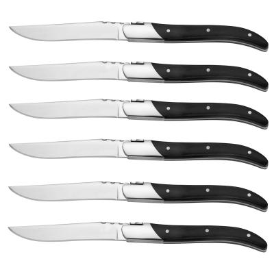 China High Quality Eternal Star Disposable 6 Pcs Mirror Serrated Stainless Steel Steak Knife And Steak Knife Set for sale