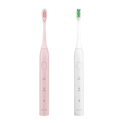 China Battery Operated BSCI Approval 35 Years Factory Oral Care Sonic USB Rechargeable Electric Toothbrush Slim for sale