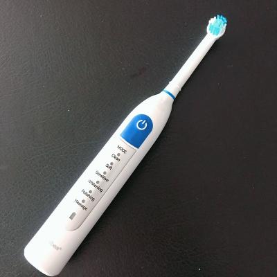 China ALB-910-6 B Multifunctional Battery Operated Electric Toothbrush Compatible Oral Rechargeable Toothbrush with 6 Modes for sale