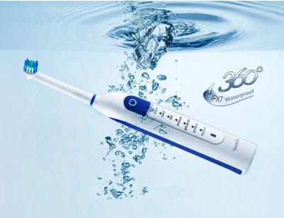 China NI-MH rechargeable rechargeable electronic toothbrush with electric toothbrush for sale