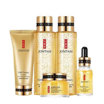 China OEM Anti Aging Moisturizing Anti Aging Skin Care Set Private Label 24k Gold Skin Care Product Organic Face Care Set for sale