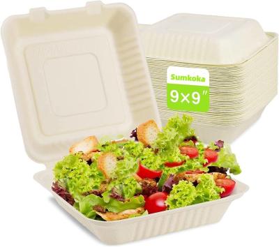 China 6-10 Inch 9x6 Biodegradable Disposable Fast Food Packaging Sugarcane Lunch Food Container Takeaway Box for sale