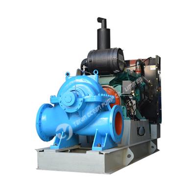 China High Efficiency Wholesale Big Flow Water Pump With 100m Pump Head for sale