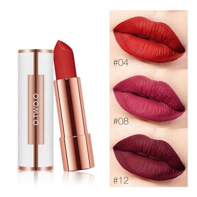 China Waterproof Amazing Multi Colors Fashion Colors Daily Makeup Slim Shiny Wine Lazy Lipstick Brands New Style Case Tube for sale