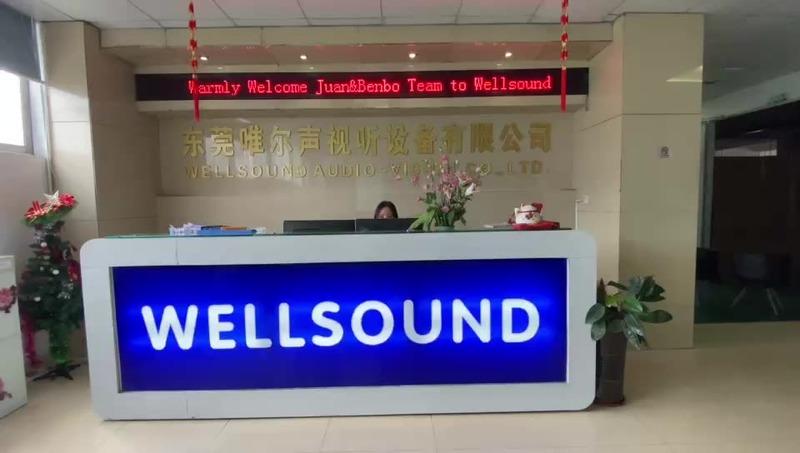 Verified China supplier - Wellsound Audio-Visual Co., Ltd.