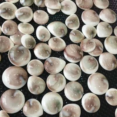 China China Natural Marine Shell Fossil Conch Stone Fossils For Sale for sale