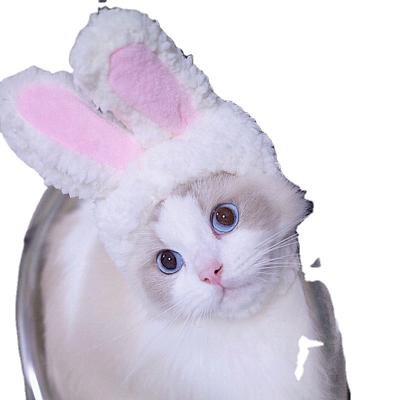 China Soft Fur Cat Bunny Hat Cute Dog Cat Cap Pet Dog Cat Rabbit Ear Viable Fashionable Warm Hat for sale