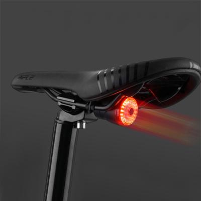 China Ipx6 Bike Brake Tail Light Outdoor Cycling Waterproof USB Bike Smart Brake Induction Tail Light for sale