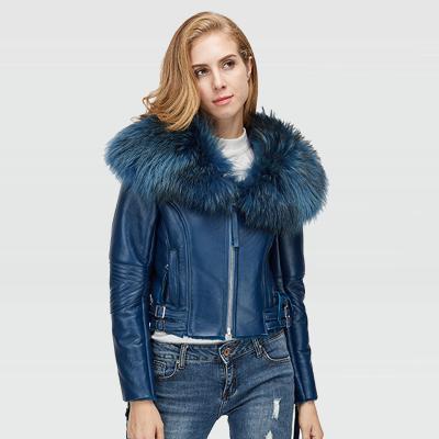 China 2020 Newest Real Full Sheepskin Genuine Leather Women's Breathable Suede Leather Jacket Winter With Raccoon Fur Collar for sale