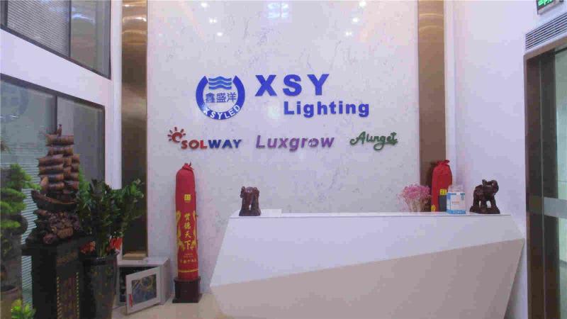 Verified China supplier - Shenzhen XSY Lighting Co., Ltd.