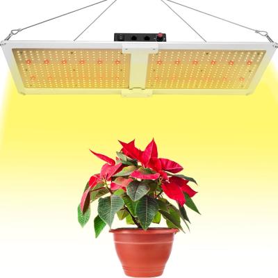 China Seed Starting Luxgrow For Indoor Plant Lighting 240 Watt Mix Red 660nm 240w LED DIY Kit Samsung LM301H LM301B Grow Lights Panel for sale