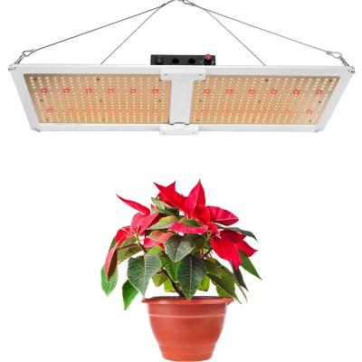 China Seed Starting Luxgrow Pre Assembled 200 240 Watt Grow Kit 3000k 3500k 4000k lm301b lm301h 660nm 240w LED Grow Light Panel for sale