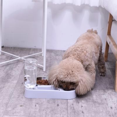 China 2021 Automatic Dog Pet Supplies Plasticas Dispensador Bolsas Automatic Pet Plastic Feeder Water Bowls for sale