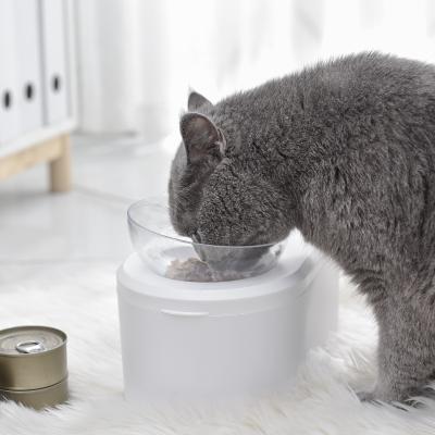 China Design Viable Hot Selling Feeding Bowls for Small Pet Pet Bowl Pet Double-Feeding Bowl for sale