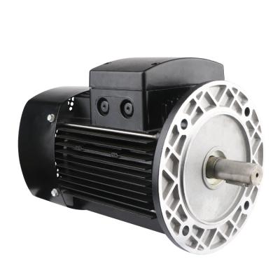 China IP54/IP55 Series YS/YE2 High Quality Aluminum Casing 0.75KW 1.1HP Three Phase Asynchronous Motor AC Electric Motor 960/1400/2800 RPM for sale