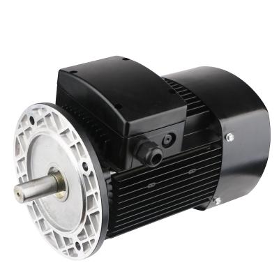 China IP54/IP55 Series High Quality Aluminum Casing 0.75-10HP 0.55-7.5KW 960-2800RPM Three Phase Asynchronous Motor AC Electric Motor YS/YE2/MS for sale