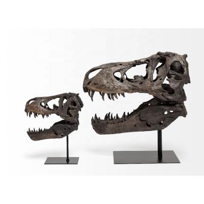 China Large Tyrannosaurus T Rex Head Natural Looking Bone Dinosaur Skull Sculpture From Africa for sale