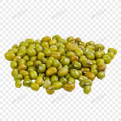 China Canned Canned Beans Canned Pea Vegetables for sale