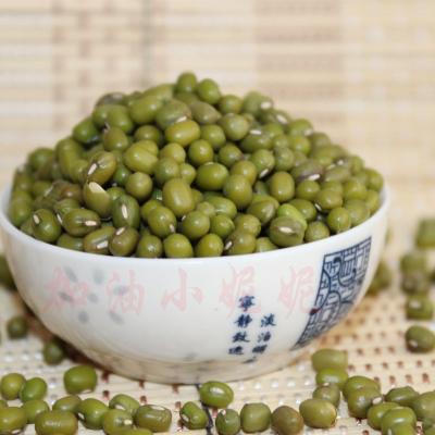 China Lowest Price Greencan Food Canned Mix Canned Vegetable, Canned Peas, Carrot, Corn Kernels, Bean for sale