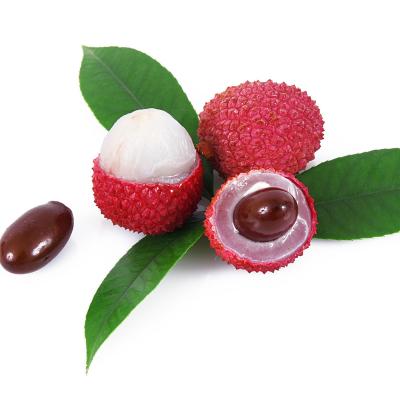 China Canned lychee fruit in new season syrup for sale