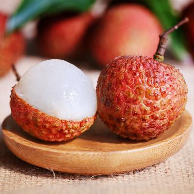 China Hot Selling Lychee Canned Fruit Canned Syrup Fresh Canned Lychee for sale