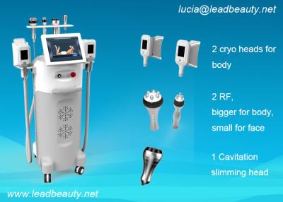 China -15℃ cooling Beauty Fat Reduce Cryolipolysis Slimming Machine with 12 inch LCD screen for sale