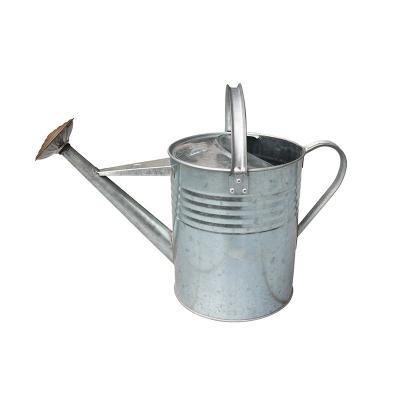 China Garden Watering Plants China Hot Sale Indoor Plant Watering Can Metal Copper Steel Watering Can for sale