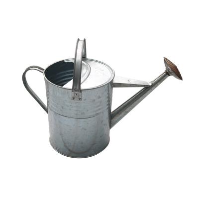 China Garden Watering Tools 2 Gallon Traditional Style Garden Watering Can Galvanized Metal Watering Can for sale