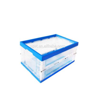 China Plastic Collapsing Folding Mesh Recyclable Fruit Storage Crate for sale