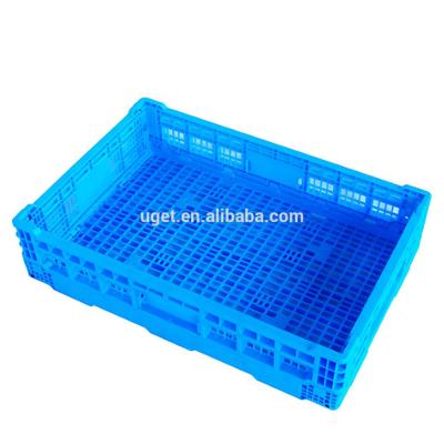 China Mesh Manufacturing Factory Folding Tomato Storage Plastic Crate for sale