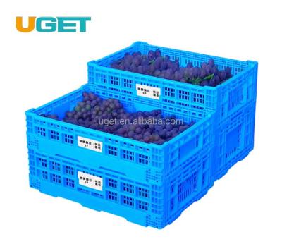 China Collapsible Collapsible Collapsible Plastic Mesh Vegetable And Fruit Crate Crate for sale