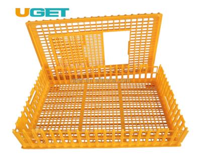 China Poultry Crates Customized Recyclable Stackable Plastic Transport Poultry Crate For Chicken Duck Goose Dove for sale