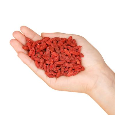 China Good high quality dried red goji 180pills wolfberry berries from china supplier in Qinghai for sale