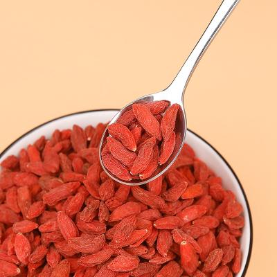 China Hot sell Gansu goji berries dried red wolfberry wolfberry 480pills gojiberry tea red wolfberry for sale