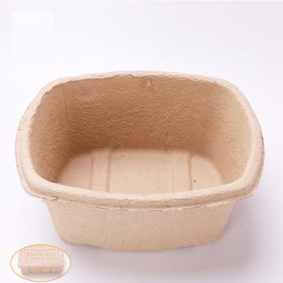 China Biodegradable Stored Eco Friendly Disposable Design Mold Pulp Professional Custom Paper Tray Recycled Packaging for sale