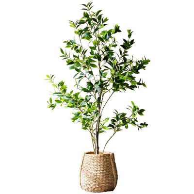 China Indoor Artificial Fern Green Tree Decoration Artificial Trees For Indoor Simulation Plant for sale