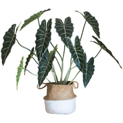 China Indoor Bonsai Monstera Green Ornamental Plants Artificial Flowers Hotel Decoration Gift Home Artificial Plants Home Decoration for sale