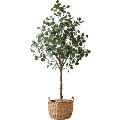 China Artificial Plant Large Indoor Artificial Bonsai Tree Eucalyptus Bedroom Trees Tree for sale